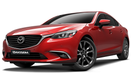 Contacta con Dentsoff_PDR